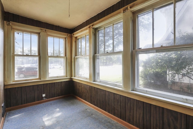 141 W Waterloo St, Canal Winchester, OH 43110 - unfurnished sunroom featuring wood walls and carpet floors