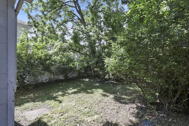 141 W Waterloo St, Canal Winchester, OH 43110 - view of yard