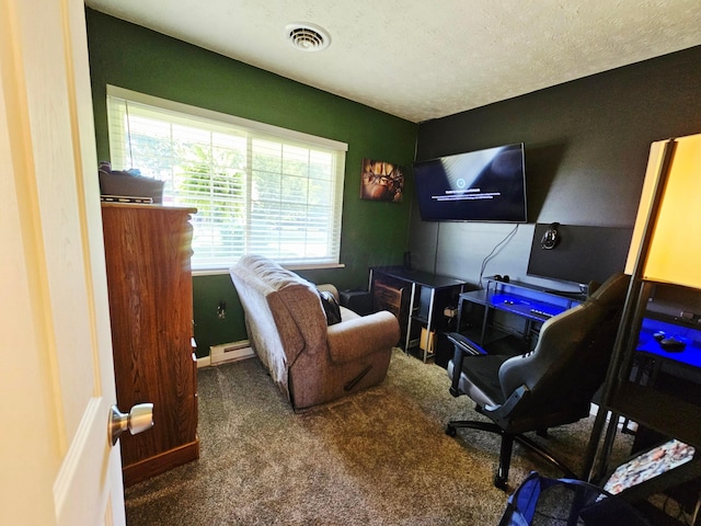 4999 Dickey Rd NE, Bloomingburg, OH 43106 - office with a baseboard radiator and carpet flooring