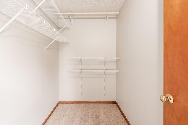 2378 Yagger Bay Dr, Hilliard, OH 43026 - walk in closet with carpet