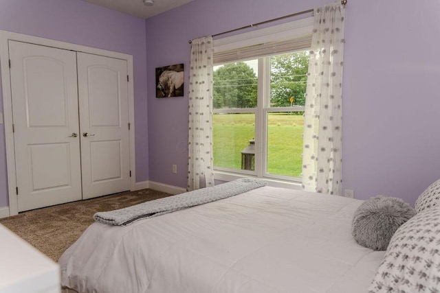 955 Mccormick Ave, Circleville, OH 43113 - photo 18