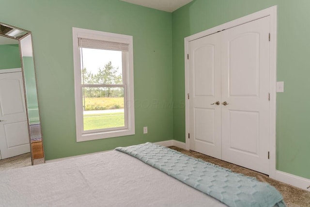 955 Mccormick Ave, Circleville, OH 43113 - photo 22