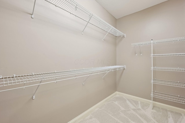 7670 Golden Wheat Ln, Westerville, OH 43082 - photo 49