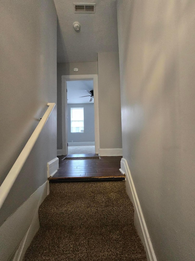 1035 Sullivant Ave, Columbus, OH 43223 - stairway featuring baseboards and carpet flooring