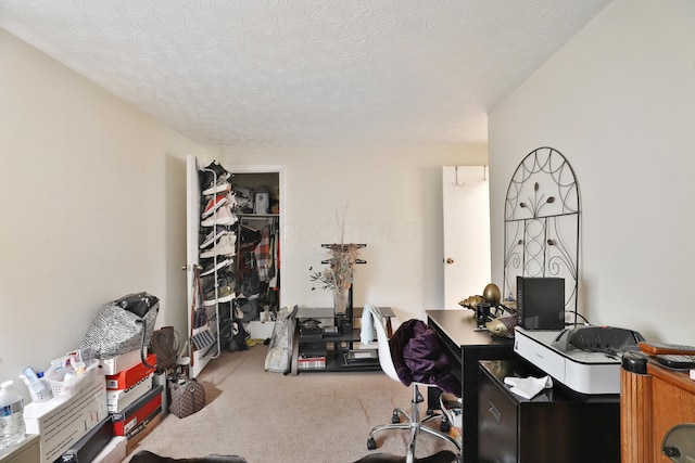 2214-2216 Pine Tree Ln, Reynoldsburg, OH 43068 - office area featuring carpet floors and a textured ceiling
