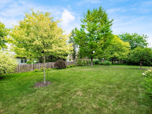 3700 Ravens Glen Dr, Columbus, OH 43221 - photo 43