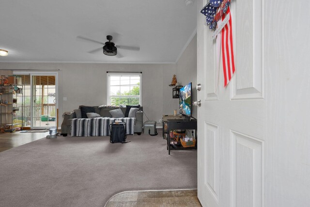 3609 Westerville Rd Unit P-49, Columbus, OH 43224 - photo 4