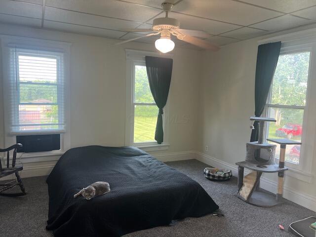427 John St, Newark, OH 43055 - bedroom featuring carpet floors, multiple windows, a paneled ceiling, and a ceiling fan