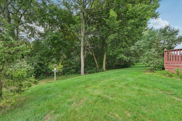 12394 Bentwood Farms Dr, Pickerington, OH 43147 - photo 49