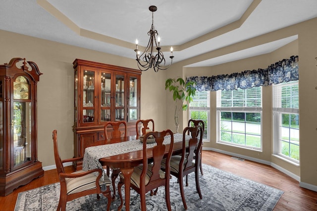 307 Timberland View Dr, Newark, OH 43055 - dining space featuring a chandelier, a tray ceiling, and wood finished floors