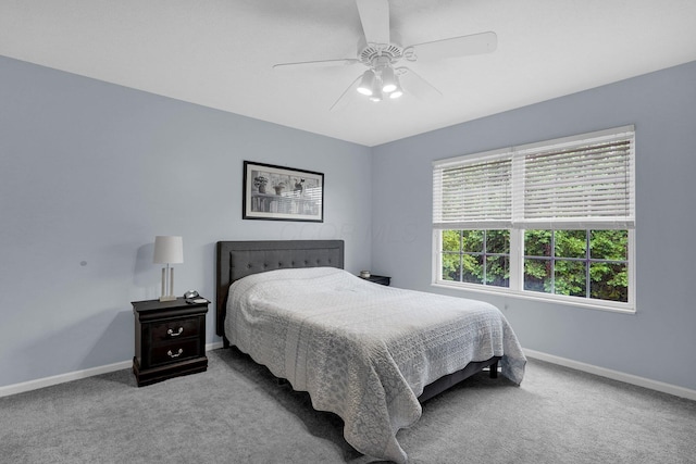 307 Timberland View Dr, Newark, OH 43055 - bedroom featuring carpet and ceiling fan