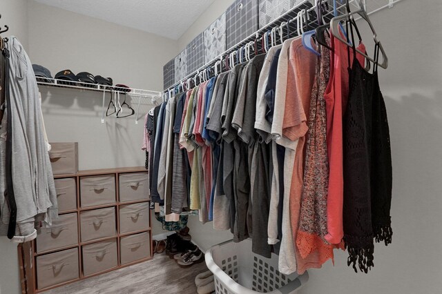 307 Timberland View Dr, Newark, OH 43055 - walk in closet with wood finished floors