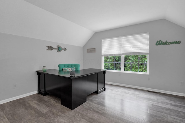 307 Timberland View Dr, Newark, OH 43055 - office space featuring vaulted ceiling and dark wood-style floors