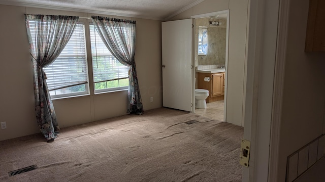 22 Birch Row Dr, Delaware, OH 43015 - unfurnished bedroom featuring a textured ceiling, light carpet, vaulted ceiling, crown molding, and ensuite bath