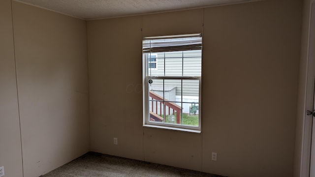 22 Birch Row Dr, Delaware, OH 43015 - unfurnished room featuring light carpet, a textured ceiling, and crown molding