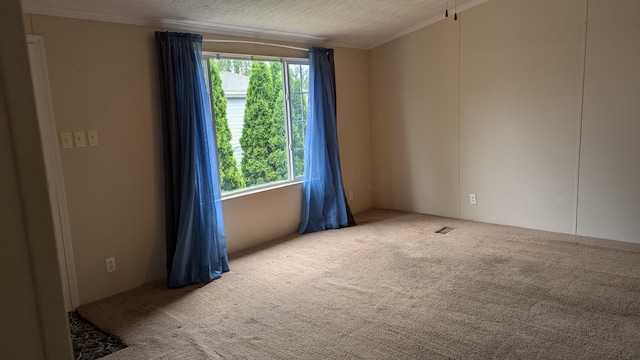 22 Birch Row Dr, Delaware, OH 43015 - carpeted empty room featuring crown molding and a textured ceiling