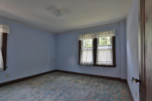 449 Oakland Park Ave, Columbus, OH 43214 - photo 33