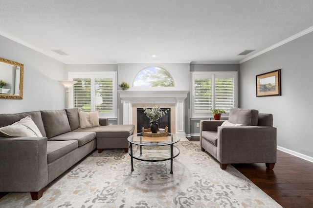 918 Dianthus Ct, Reynoldsburg, OH 43068 - living area featuring wood-type flooring, healthy amount of natural light, a glass covered fireplace, a textured ceiling, and crown molding