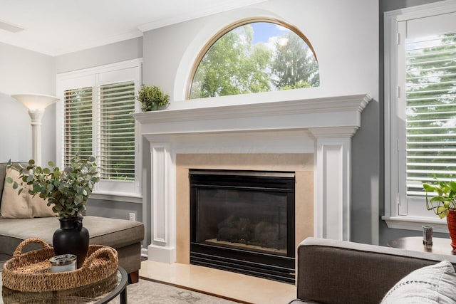 918 Dianthus Ct, Reynoldsburg, OH 43068 - detailed view of a fireplace