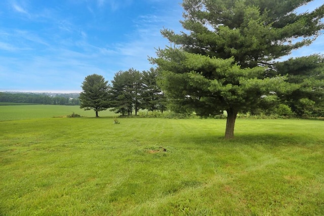 7579 Rangeline Rd, Mount Vernon, OH 43050 - view of green lawn