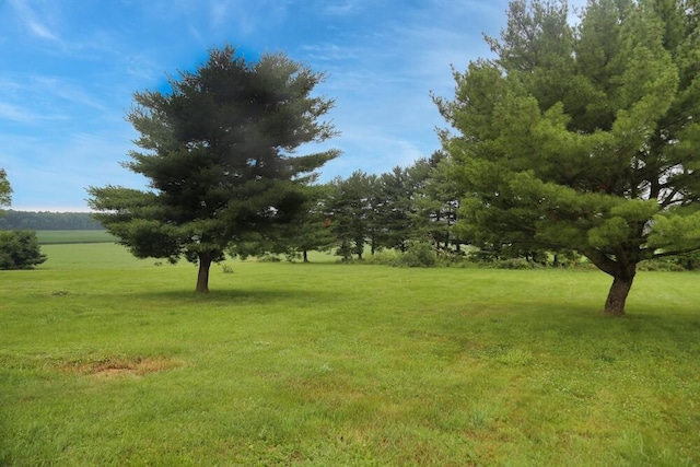 7579 Rangeline Rd, Mount Vernon, OH 43050 - view of grassy yard