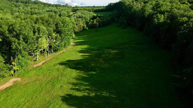 1816 Trego Creek Rd, Chillicothe, OH 45601 - photo 17
