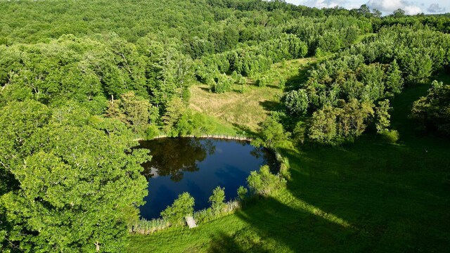1816 Trego Creek Rd, Chillicothe, OH 45601 - photo 18