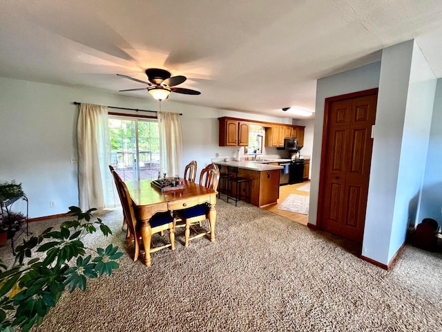 1816 Trego Creek Rd, Chillicothe, OH 45601 - photo 35