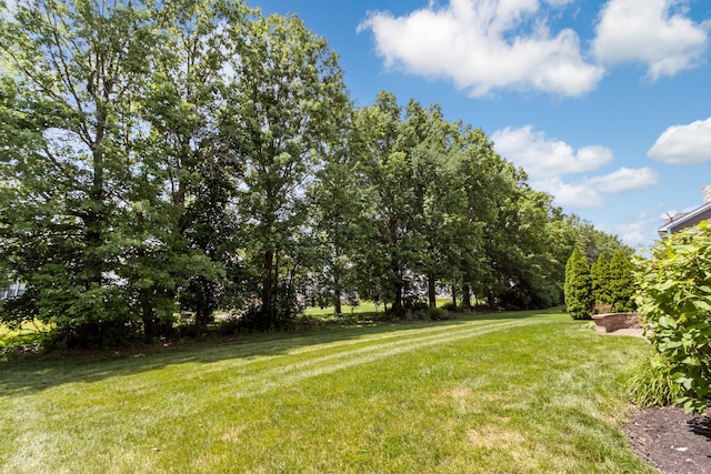 8218 Wildflower Dr, Powell, OH 43065 - photo 41
