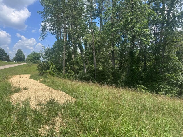 0 Point Lookout Rd, Stockport, OH 43787 - photo 10