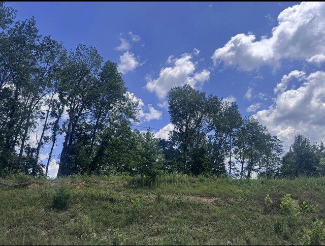 0 Point Lookout Rd, Stockport, OH 43787 - photo 11