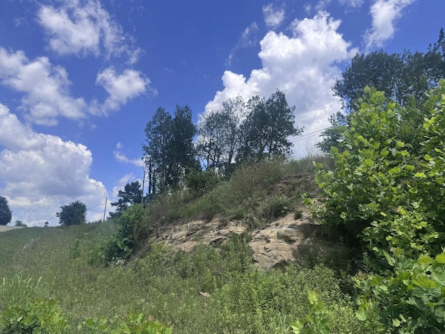0 Point Lookout Rd, Stockport, OH 43787 - photo 13