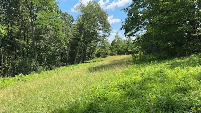 0 Point Lookout Rd, Stockport, OH 43787 - photo 1