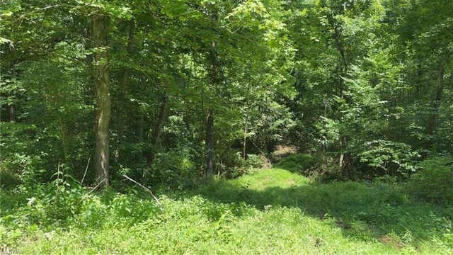 0 Point Lookout Rd, Stockport, OH 43787 - photo 6
