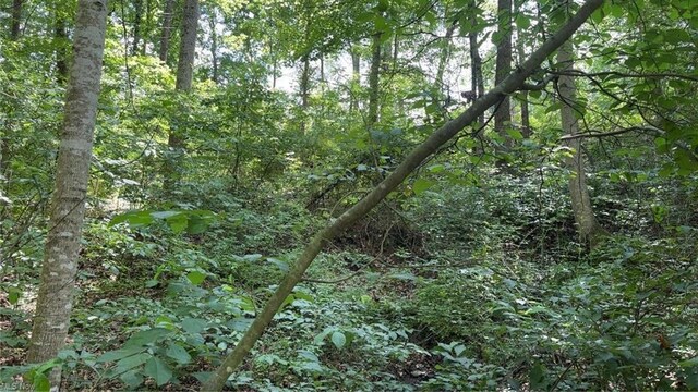 0 Point Lookout Rd, Stockport, OH 43787 - photo 16