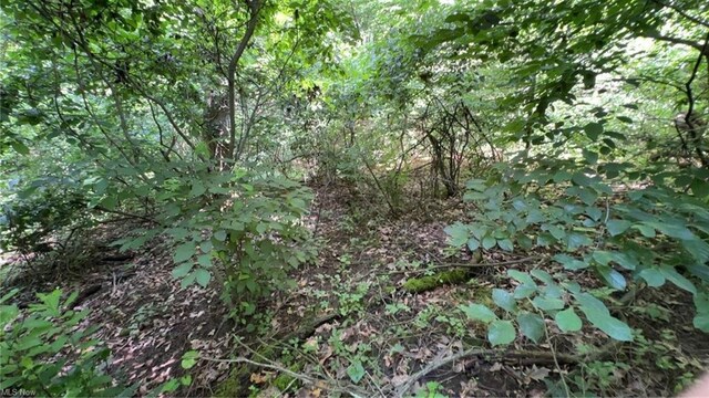 0 Point Lookout Rd, Stockport, OH 43787 - photo 17