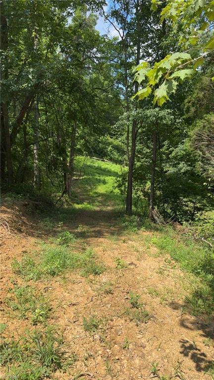 0 Point Lookout Rd, Stockport, OH 43787 - photo 18