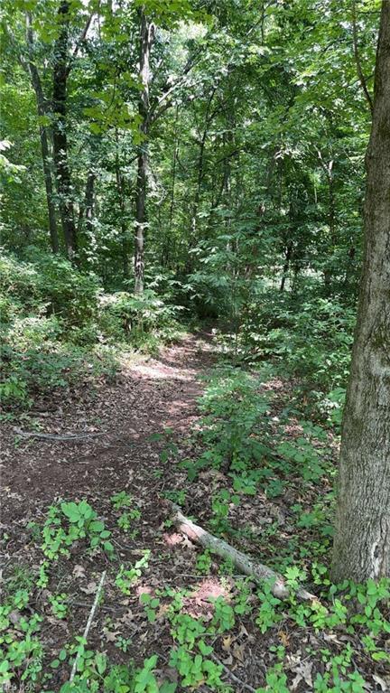 0 Point Lookout Rd, Stockport, OH 43787 - photo 20