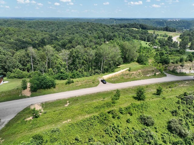 0 Point Lookout Rd, Stockport, OH 43787 - photo 27