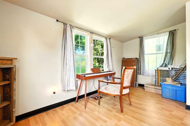 78 E St, Bellville, OH 44813 - office with light wood-style floors and vaulted ceiling