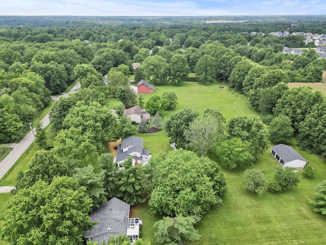 4250 Rutherford Rd, Powell, OH 43065 - bird's eye view of a forest