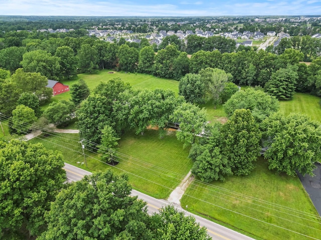 4250 Rutherford Rd, Powell, OH 43065 - drone / aerial view