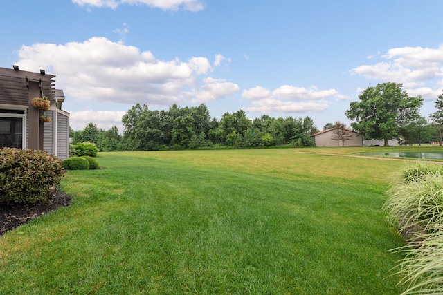 6196 Streamside Dr, Galena, OH 43021 - view of grassy yard
