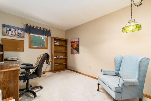 11227 Forest Lane Ave, Pickerington, OH 43147 - photo 29