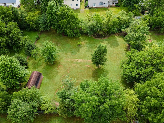 925 Tamarack Dr, Willard, OH 44890 - photo 38