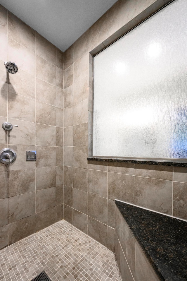 8150 Concord Rd, Delaware, OH 43015 - full bath with a tile shower