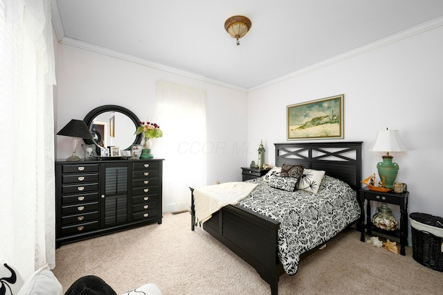 8150 Concord Rd, Delaware, OH 43015 - bedroom with carpet and crown molding