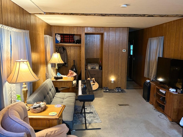 407 Marion St Unit 403, Mcguffey, OH 45859 - living area with wooden walls and light colored carpet