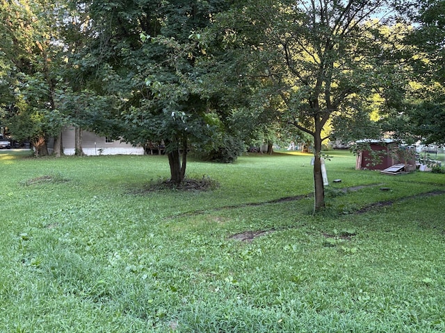 407 Marion St Unit 403, Mcguffey, OH 45859 - view of grassy yard