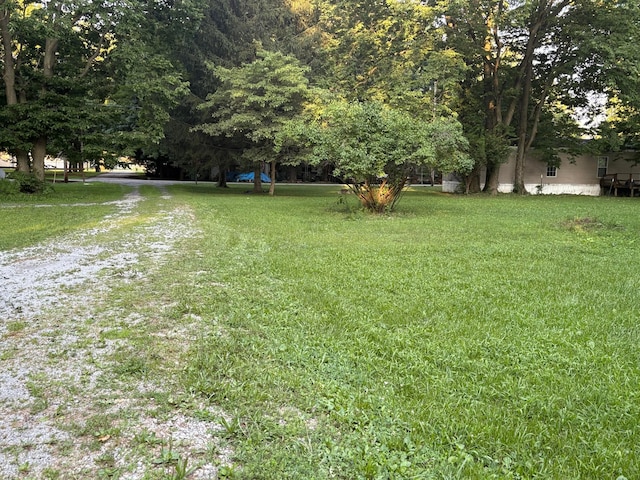 407 Marion St Unit 403, Mcguffey, OH 45859 - view of green lawn